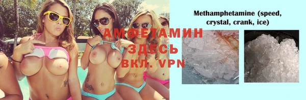 индика Майский