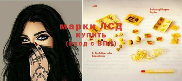 индика Майский