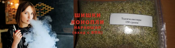 индика Майский