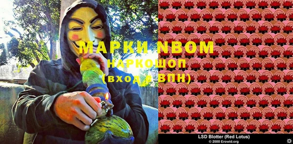 индика Майский