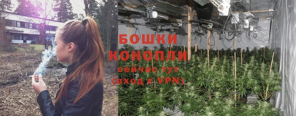 индика Майский