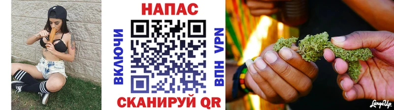 наркота  Шагонар  Каннабис тримм 